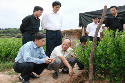 ����ũҵ��Ϣ��