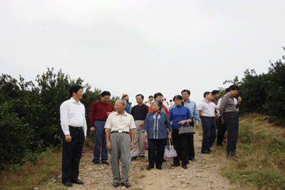 ����ũҵ��Ϣ��