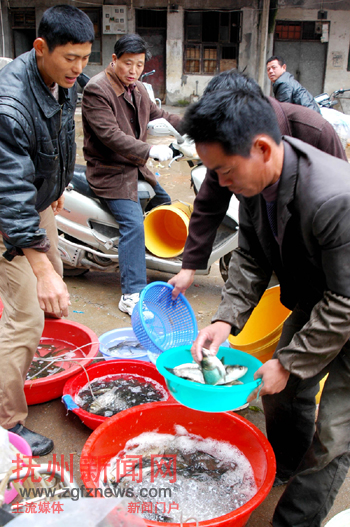 �Ϸ���Ǣ�����ϵ���ũ���������г�ѡ������