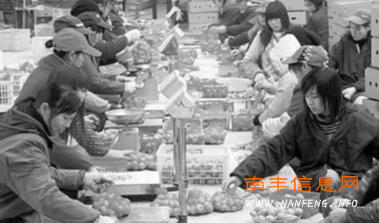 æµ���Ϸ����ٰ�װ����