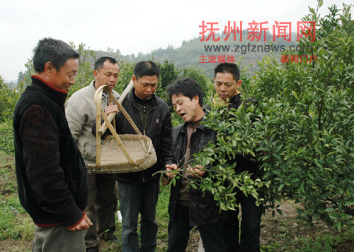 ����¡���ܷ����԰�����ũ��������޼��������龰