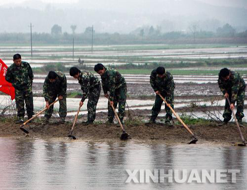 �������Ӧ���ֶӵĶ�ԱΪ��ˮ��û���������