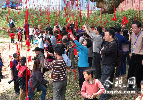 �Ϸ����ס��������������ú�˿��д��Ը����ϵ��һ��ǧ������֦��