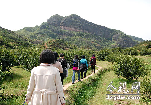 ���꣬�ο������߽�԰�������ŵ�����ۻ��㣻�����꣬���ڻ����Ƴ٣�ֻ�ܿ��������͵�һƬ��Ҷ��