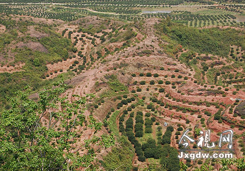 ��Ƭ��Ƭ�Ľ�԰���Ȼ���