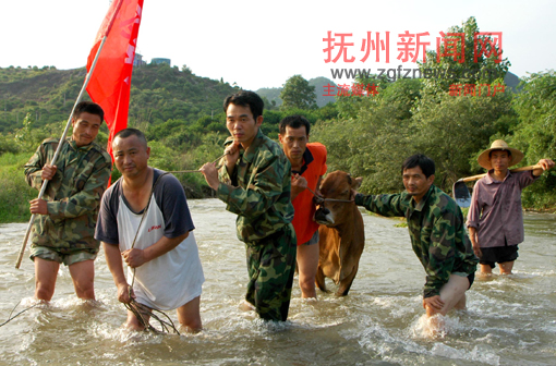 �Ϸ������չ��ѴӦ������