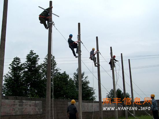 �Ϸṩ�繫˾��ũ�繤���п���Ƹ�� �淶�ù�����