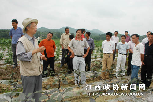 �Ϸ���ЭίԱΪũ��Ʒ�޹���������������