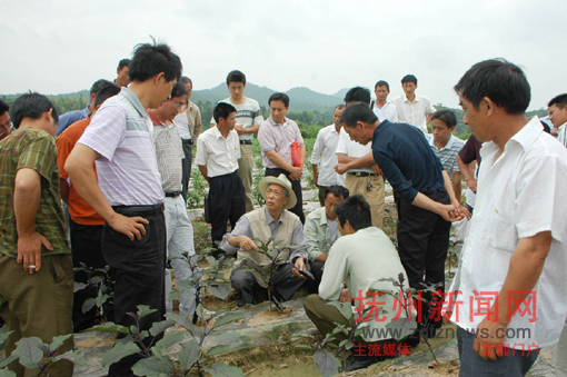 �Ϸ������ѵ�˸�����ũ��