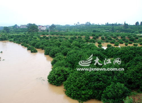 6��19�գ��Ϸ���Ǣ�������ͽ�԰