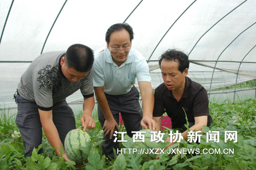 �Ϸ���ЭίԱ����һ�ߣ�ָ��Ⱥ�������Ծ�