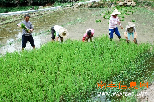 �Ϸ���Ϣ�����������Ϸᣨ��������2010��6��29�� �Ϸ�ũ���ֺ���æ