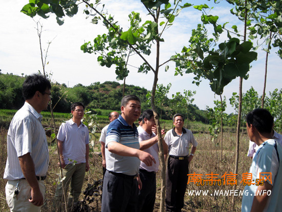 ʡɭ����ר�������Ϸ�ָ���������溦����