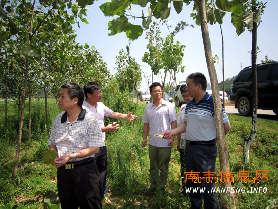 ʡɭ����ר�������Ϸ�ָ���������溦����