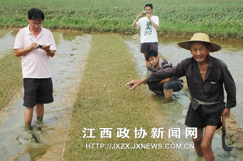 ����ʡ�Ϸ�����ЭίԱ��ũ�����ļ�����Ա���ڸ���ɣ������Դ������ܺ����ֺ���ˮ����������ա�������ʵ���������ΪȺ�ڱ����ṩԭʼ����