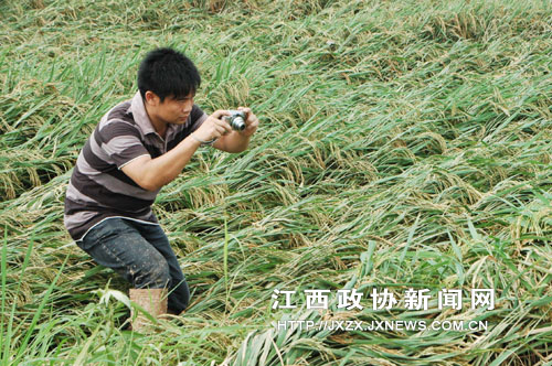 ����ʡ�Ϸ�����ЭίԱ��ũ�����ļ�����Ա���ڸ���ɣ������Դ������ܺ����ֺ���ˮ����������ա�������ʵ���������ΪȺ�ڱ����ṩԭʼ����