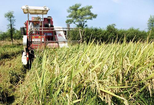 7��19�գ�����ʡ�Ϸ���ɣ������Դ��ũ���ʻ�ո���ڵ����ո��絾��