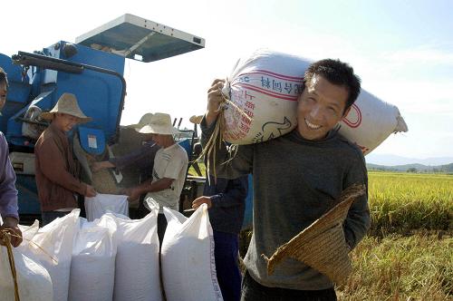 7��19�գ�����ʡ�Ϸ���ɣ������Դ��ũ���ʻ�ո���ڵ����ո��絾��