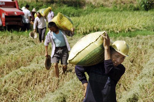 7��19�գ�����ʡ�Ϸ���ɣ������Դ��ũ���ʻ�ո���ڵ����ո��絾��