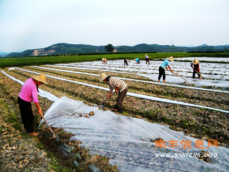 ���հ������������ǰ��С��ũ������������������ϣ���չ�����Ծȡ�