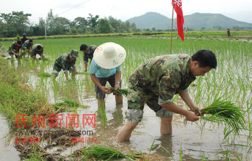 �Ϸ���̫�������䲿���ͻ���Ӷ�Ա�ڸ����������������ˮ���Զ���