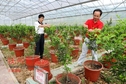 �Ϸ����۽۲�ҵ�ּ�����Ա���۽�������Դ�Թ۲��۽����ֵĳ������