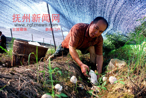 �Ϸ�����Ϫ�綫�������ë�������ԼҴ������ժ��ݥ��