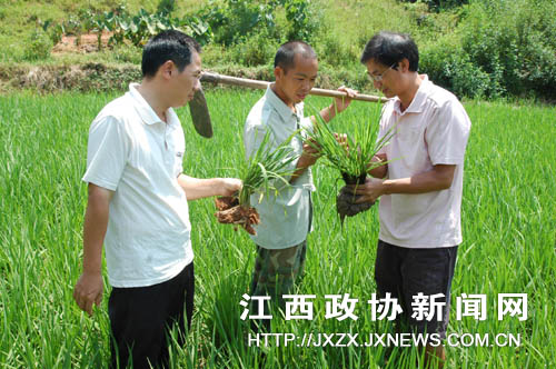 �Ϸ�ȫ���Ը���ֹ��������������