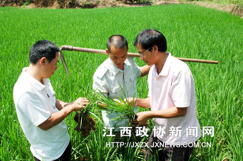 �Ϸ�ȫ���Ը���ֹ��������������