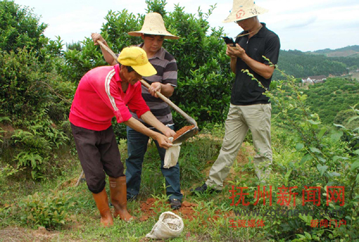 ũ����Ա����̫Դ��߼Ҵ��۽۾�Ʒ԰Ϊũ����ȡ������Ʒ