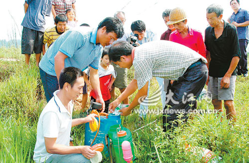 �Ϸ���̫����կ���ũ������ʹ�ù��ҷ��ŵ�ũҩ��ɱ����ʭ