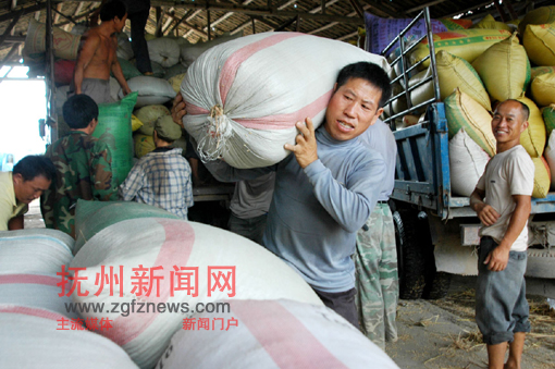 �Ϸ���̫������ʳ�չ���һƬ��æ��ũ����ӻԾ��������