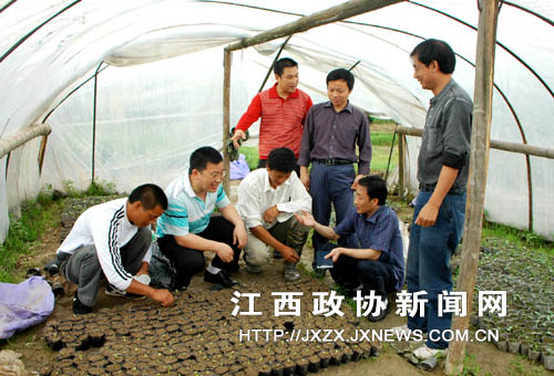 ��ЭίԱ��ũҵר�����ڸ��ظ������޹����߲˻����˽������ݻ��������