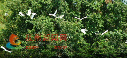 �Ϸ��ذ�����������콭���ϵ�һƬ��������ء����ص������ڴ��������衣