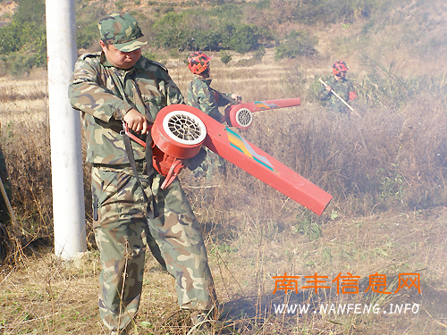 �Ϸ���ɭ�������ӻ�����սӭս