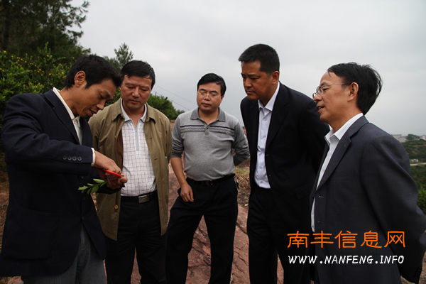 �����ί����첿�쵼���Ϸ����