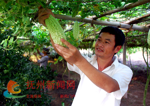 �Ϸ���԰������ũ����