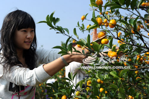 Ľ���������ϲ��ο������Ϸ��ص�����԰�μӲ��ٵ�ũ���ֻ