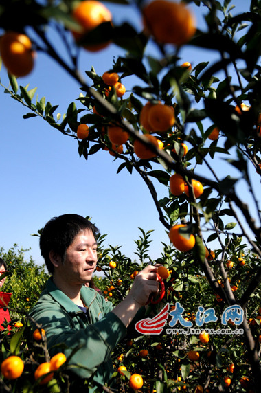 ��ý���߲�ժ����