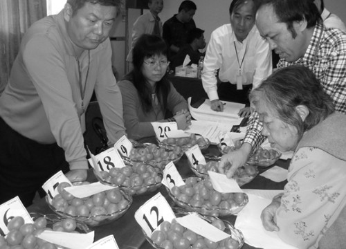 �������׽��Ϸ�������̨�����������������Ƶ����