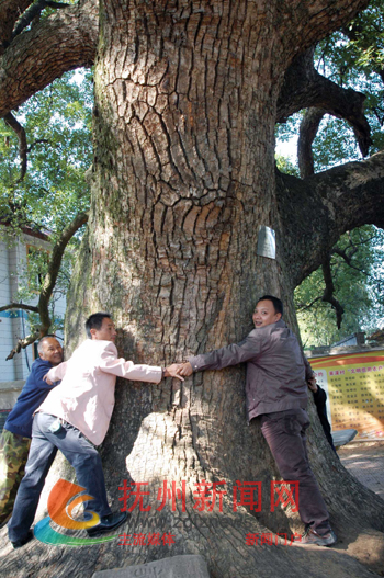 �Ϸ���Ϫ�п�ǧ�����