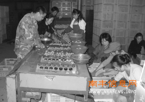 ������Ա���ڷ�ѡ�������Ϸ�����