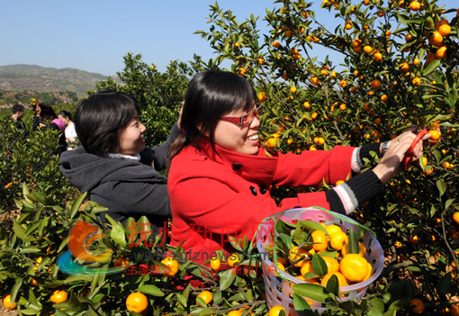 �Ϸ��۽۷���