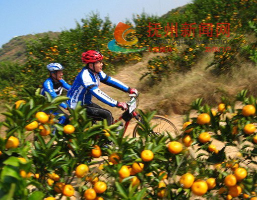 ��԰ɽ�����г���