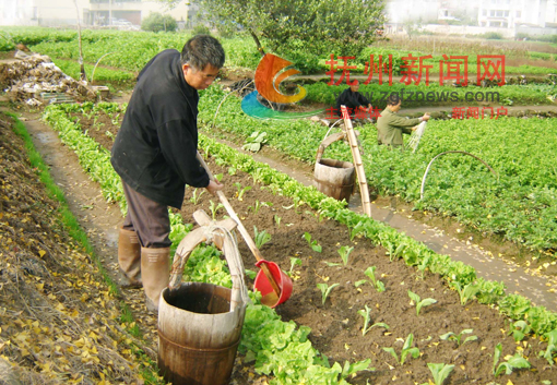 �Ϸ��ذ������ǰ��ũ�����ڸ��߲˽�ˮ