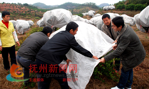 ���ո���ũ��Ա�ڰ����������ָ����ũ�������������¡�