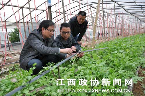 �Ϸ�����ЭίԱ��ע�������ӡ����̽���