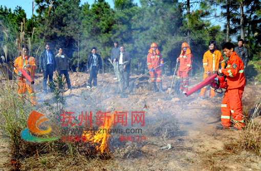 �Ϸᶬ��ɭ�ַ���δ�����