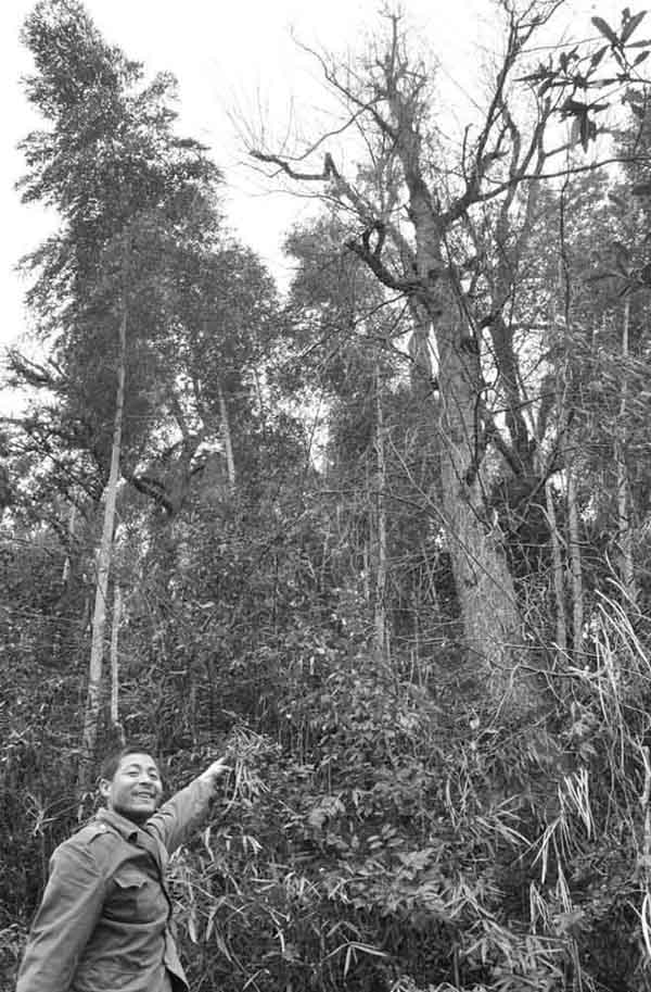 �Ϸ����������߲��� �ѹ��Ʊ���