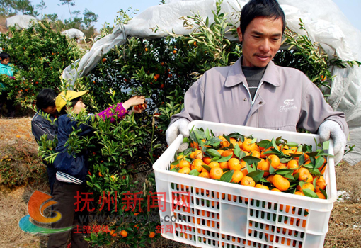 �Ϸ��ذ�������������������æ�Ų�ժ�۽�